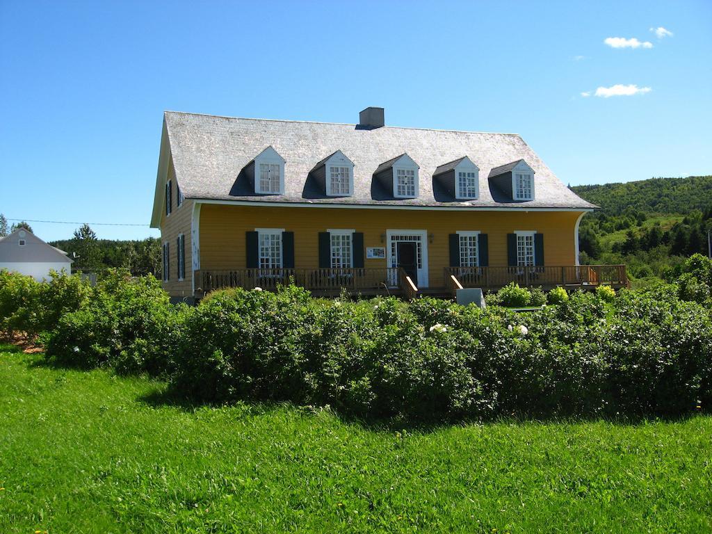 Motel Le Noroit L'Anse-au-Griffon Экстерьер фото